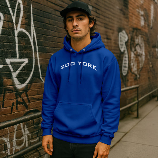 ZOO YORK Y2K ARCH HOODIE ROYAL