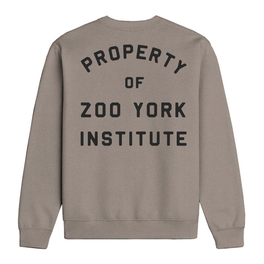 ZOO YORK INSTITUTE CREW SWEAT STONE