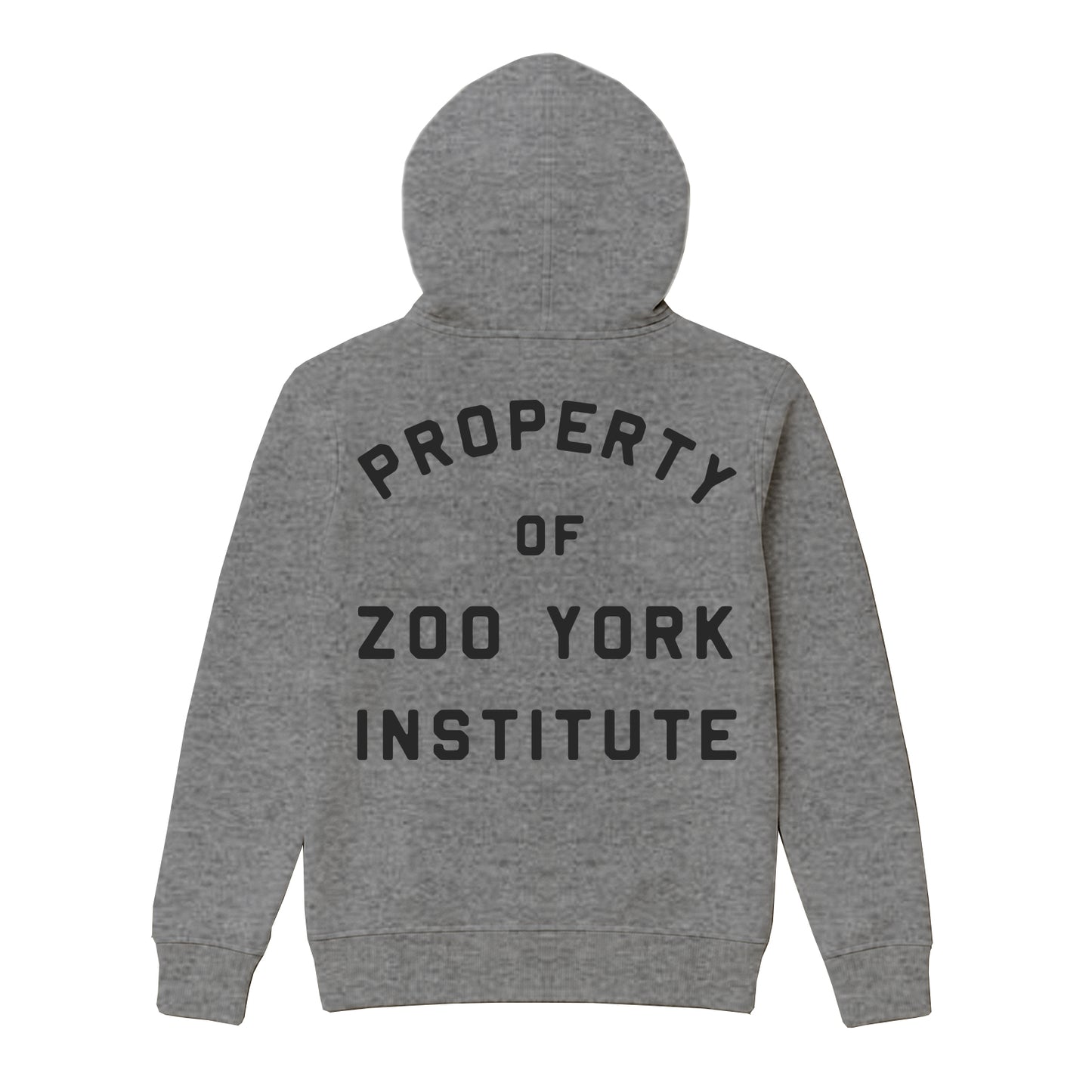 ZOO YORK INSTITUTE HOODIE HEATHER GREY
