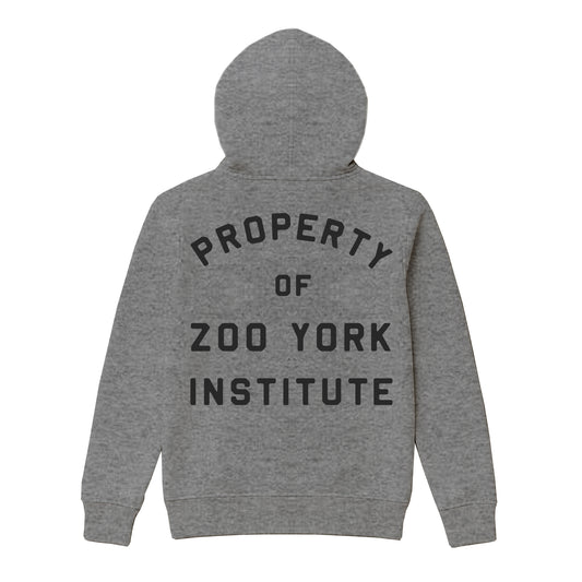 ZOO YORK INSTITUTE HOODIE HEATHER GREY