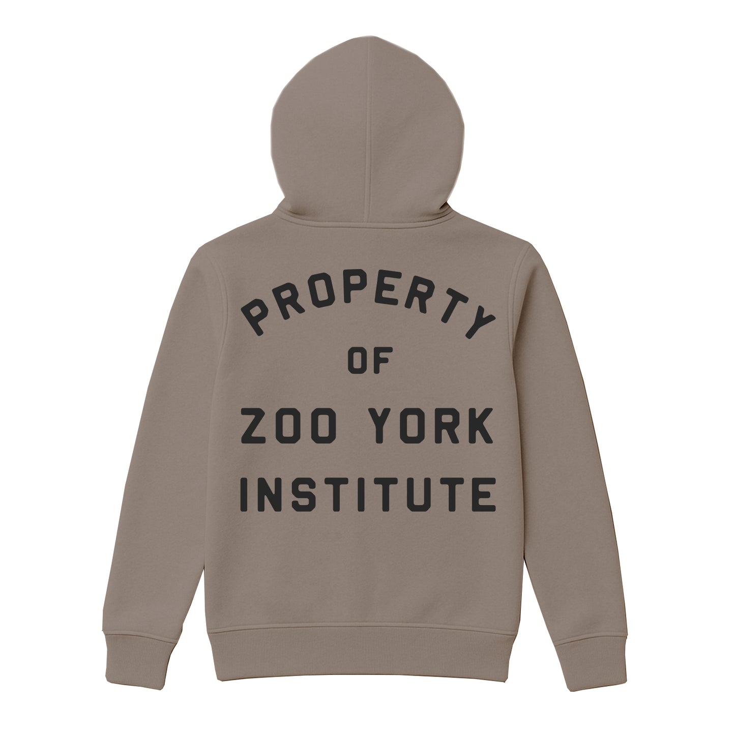ZOO YORK INSTITUTE HOODIE STONE