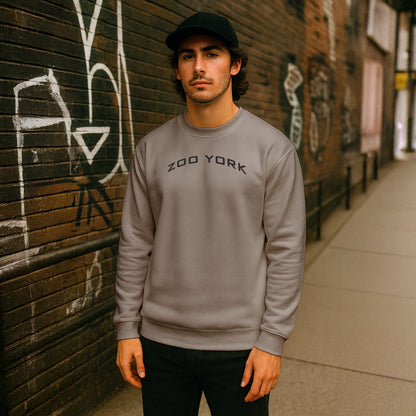 ZOO YORK Y2K ARCH CREW SWEAT STONE