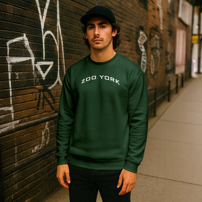 ZOO YORK Y2K ARCH CREW SWEAT LITE BOTTLE GREEN