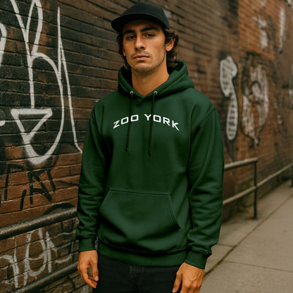 ZOO YORK Y2K ARCH HOODIE LITE BOTTLE GREEN