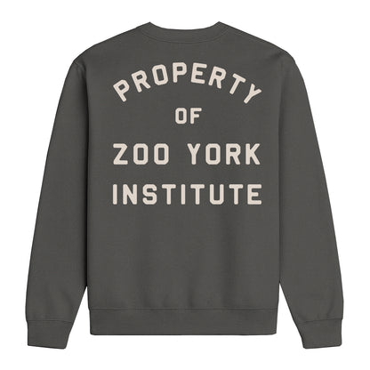 Zoo York Institute Crew Sweat Charcoal