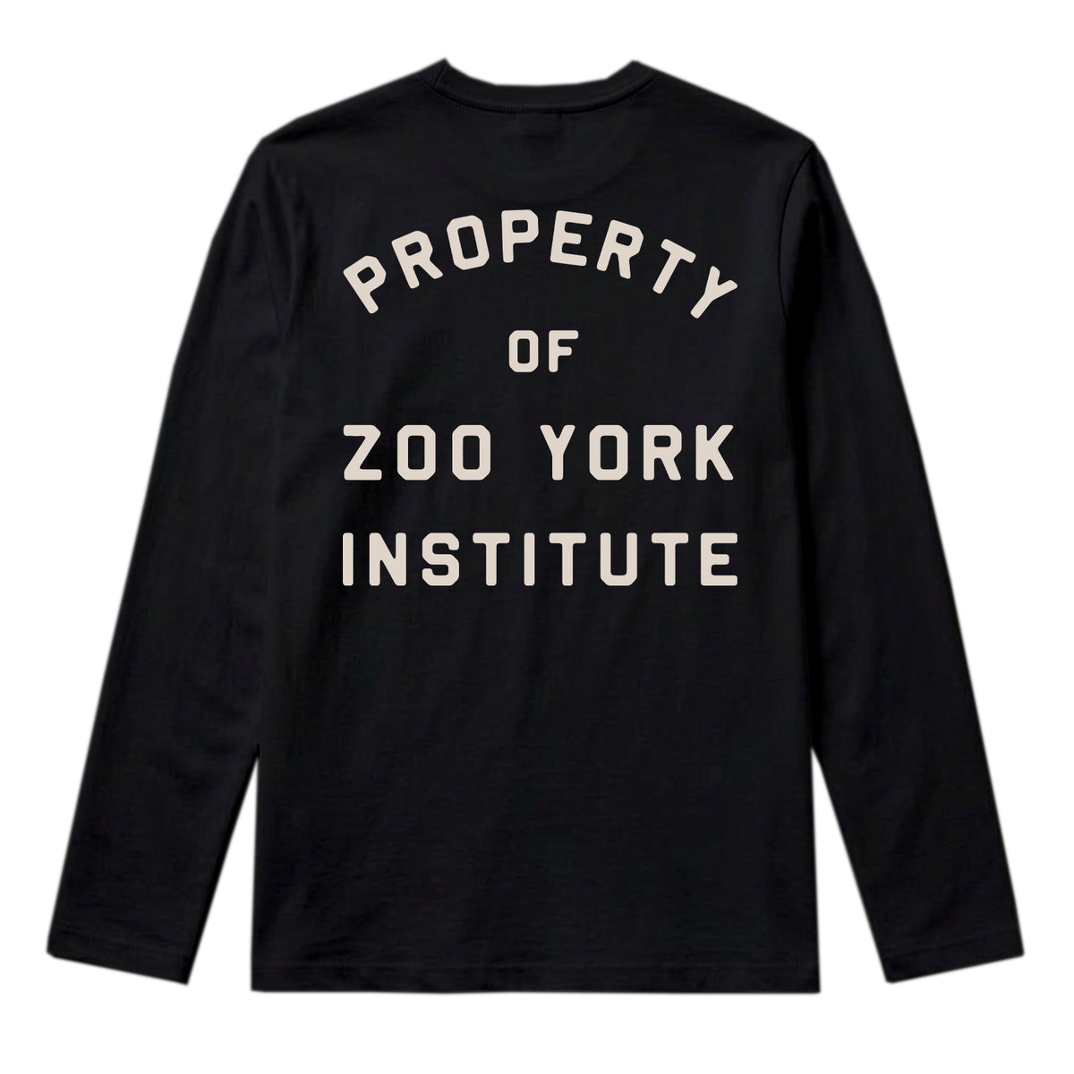 Zoo York Property Long Sleeve T-Shirt Black - back