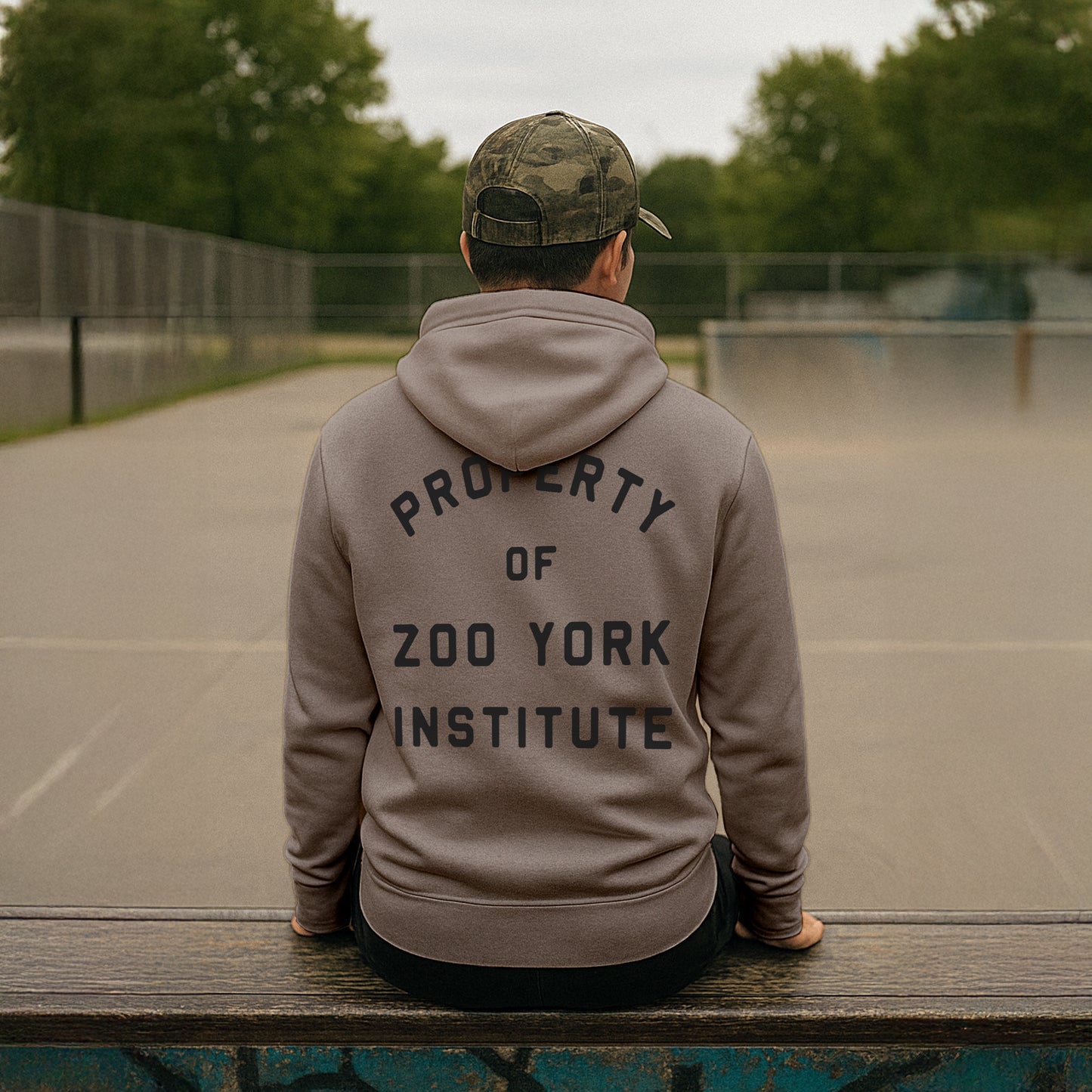 ZOO YORK INSTITUTE HOODIE STONE