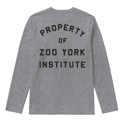 Zoo York Property Long Sleeve T-Shirt Heather Grey - back