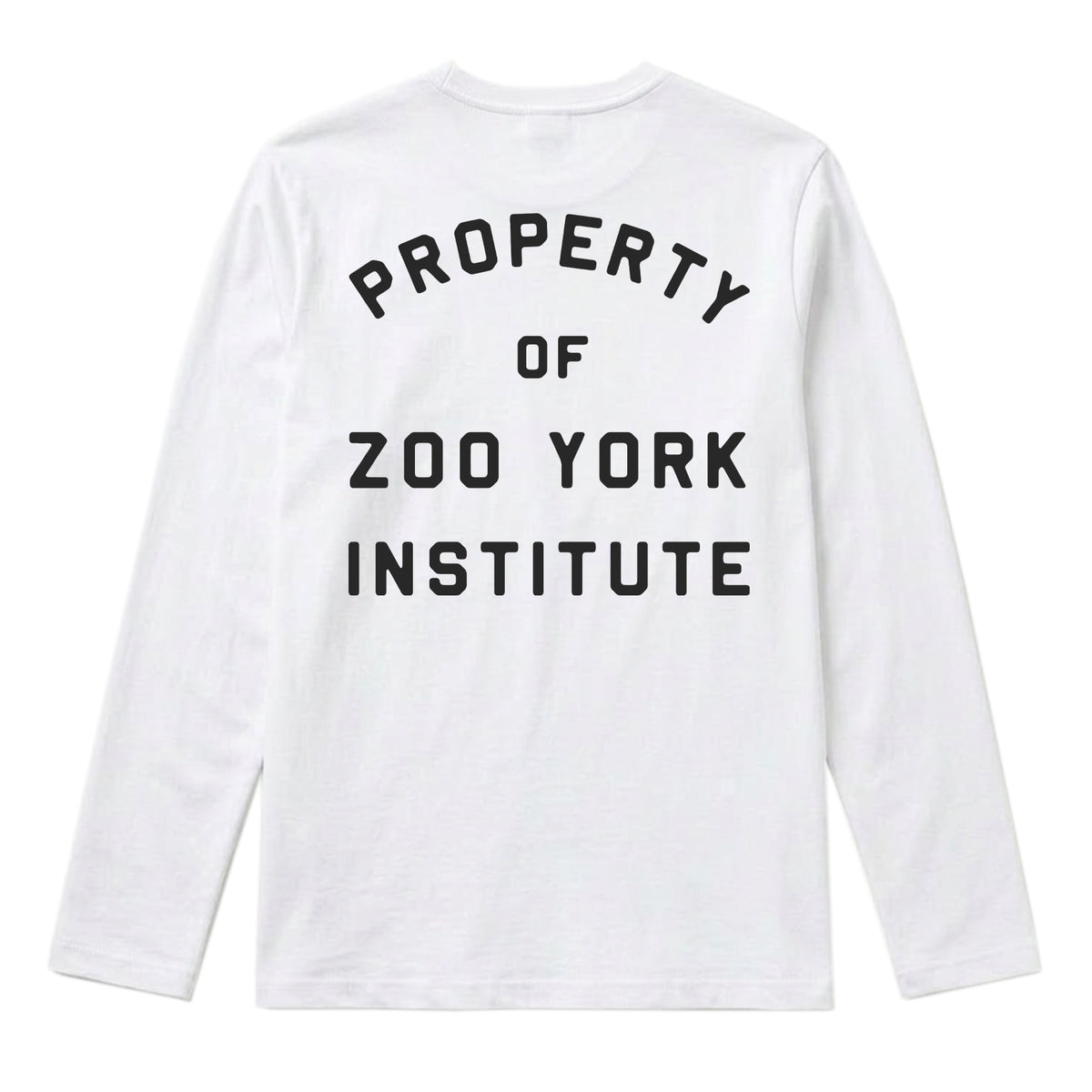 Zoo York Property Long Sleeve T-Shirt White - back