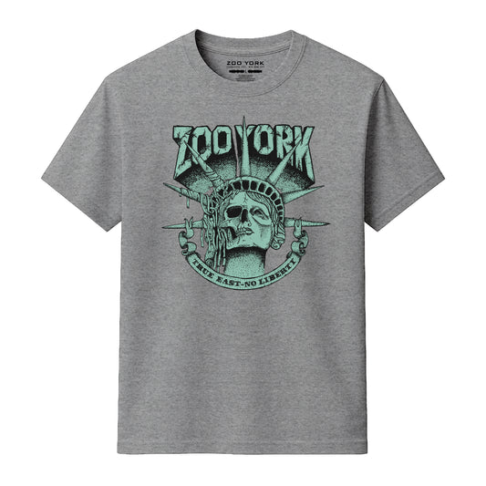 Zoo York True East T-Shirt Heather Grey - front