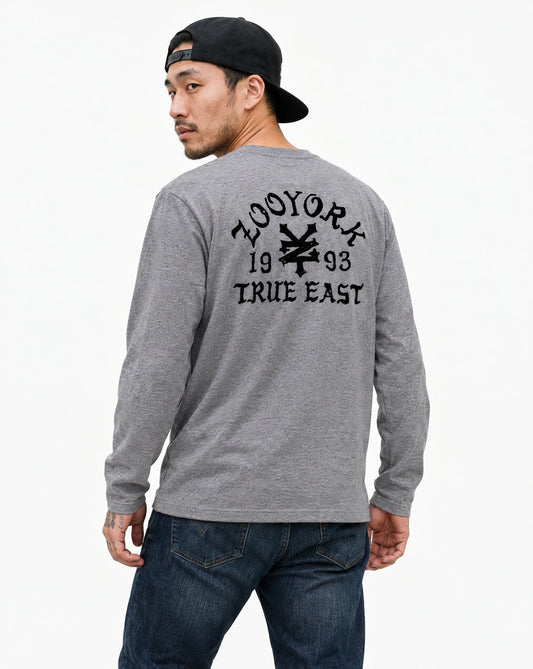 Zoo York True East Sketch Long Sleeve T-Shirt Heather Grey - model back